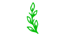 BO Farms